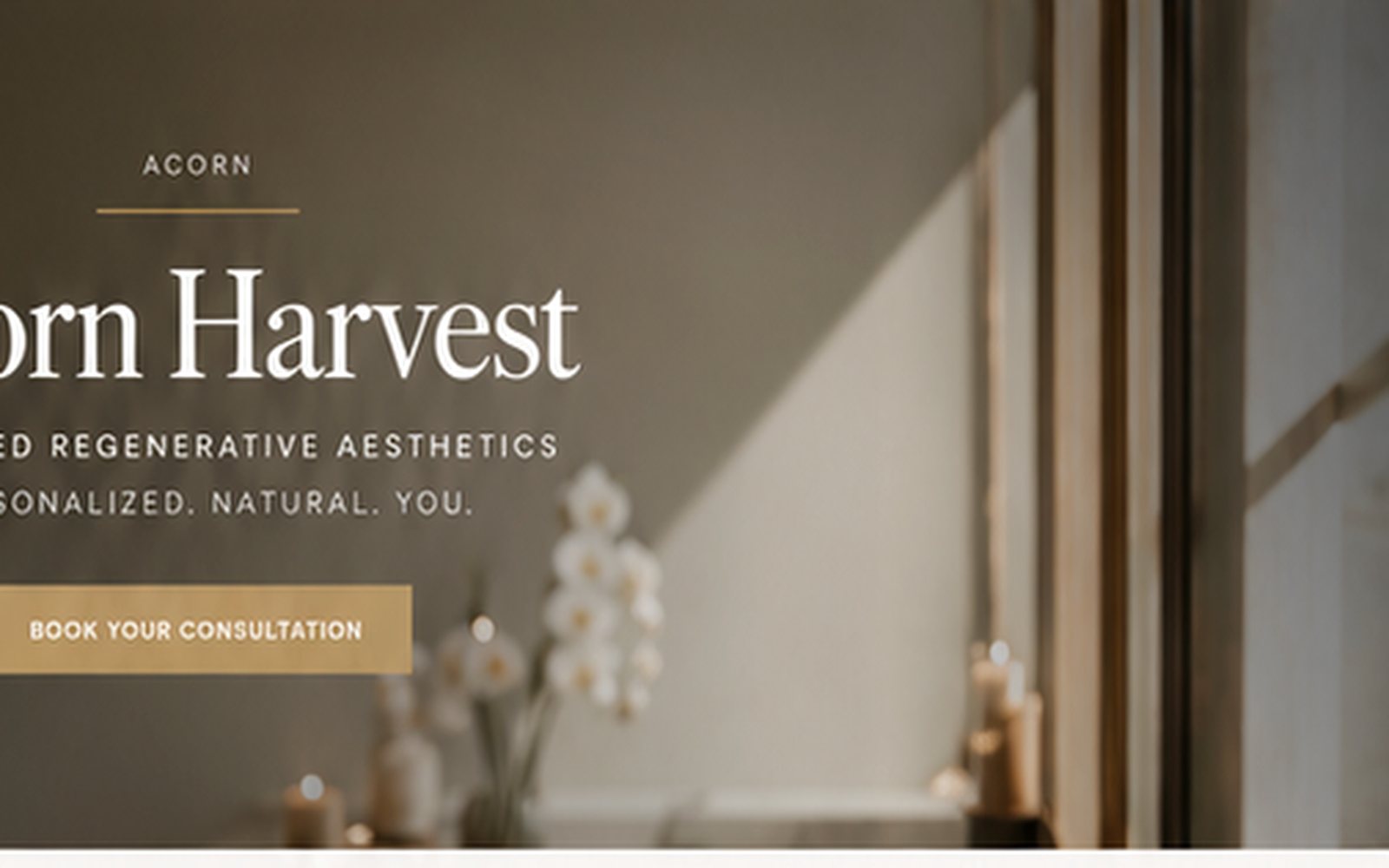 Hair wellness services